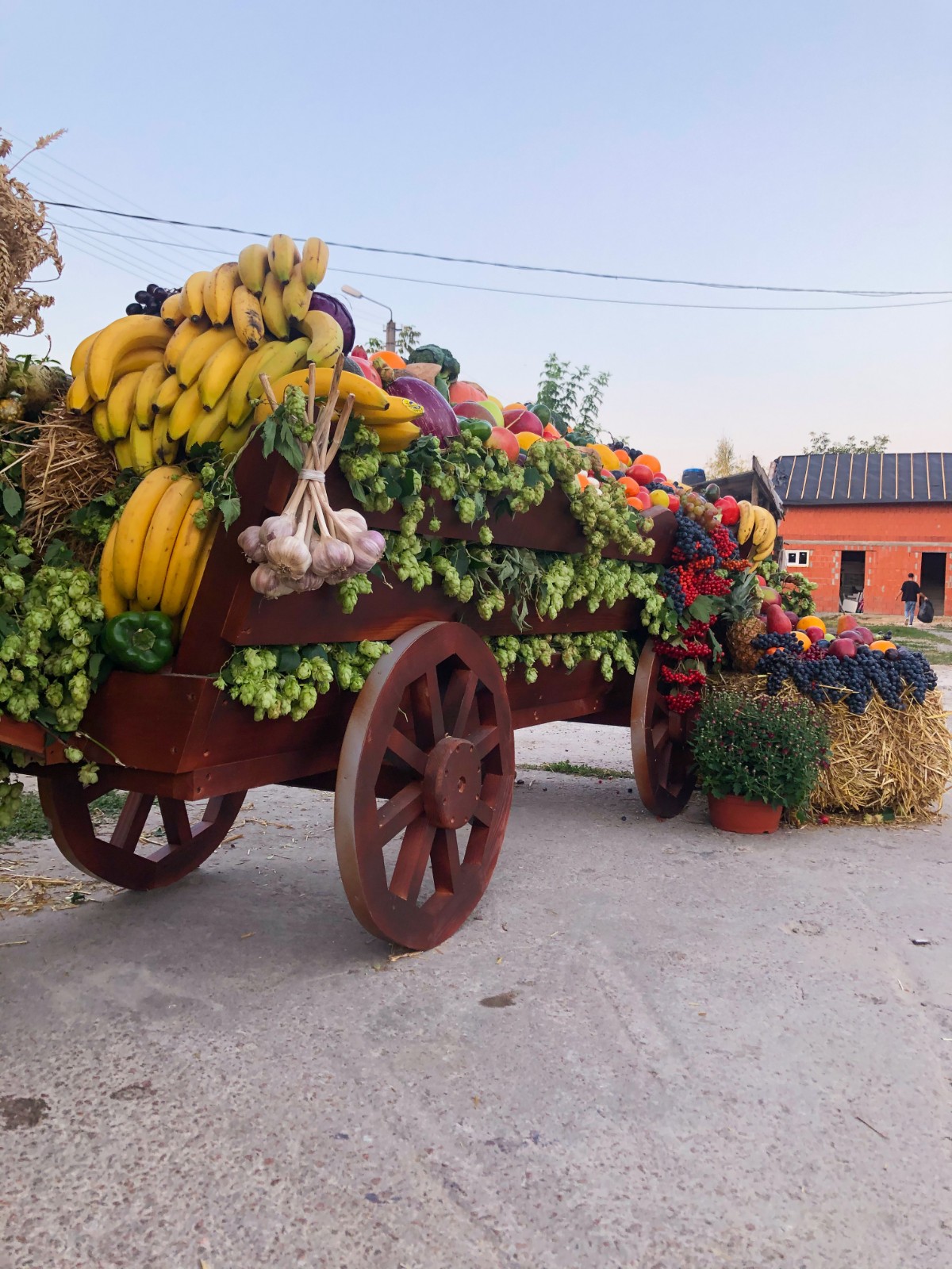 Візок декоративний (садовина)