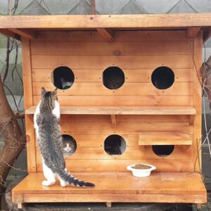 Котячий будинок (на 6 тварин)